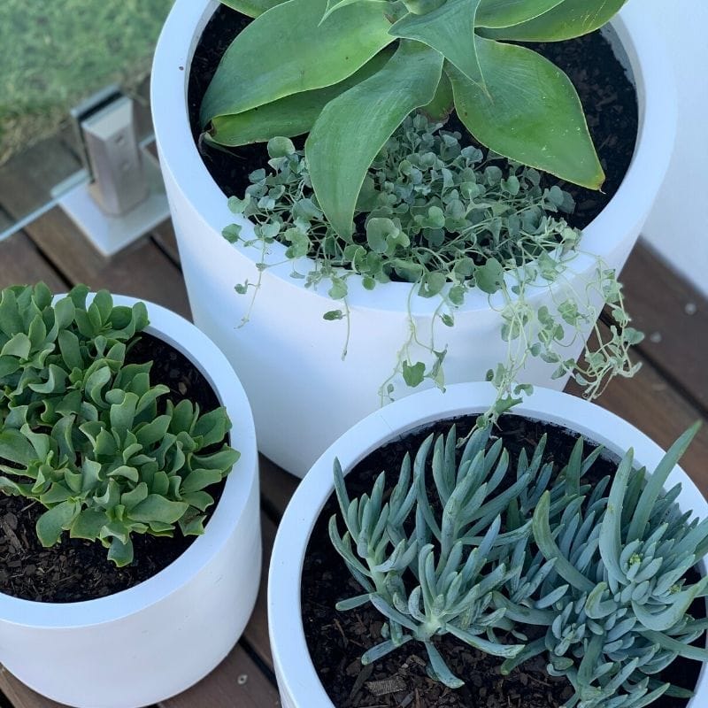 Bondi Plant Pot - White - Image 14