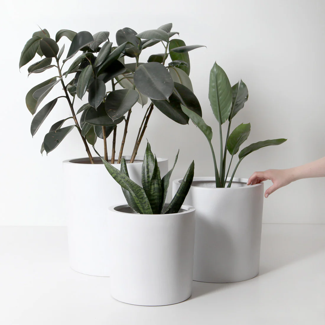Bondi Plant Pot - White - Image 21