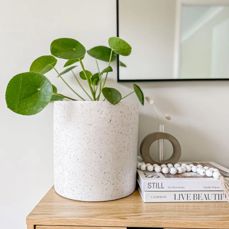 Bondi Plant Pot - White Terrazzo - Image 11