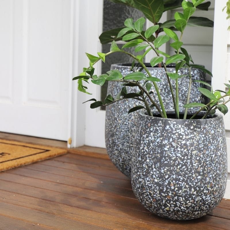 Malibu Plant Pot - Charcoal Seashell - Image 5