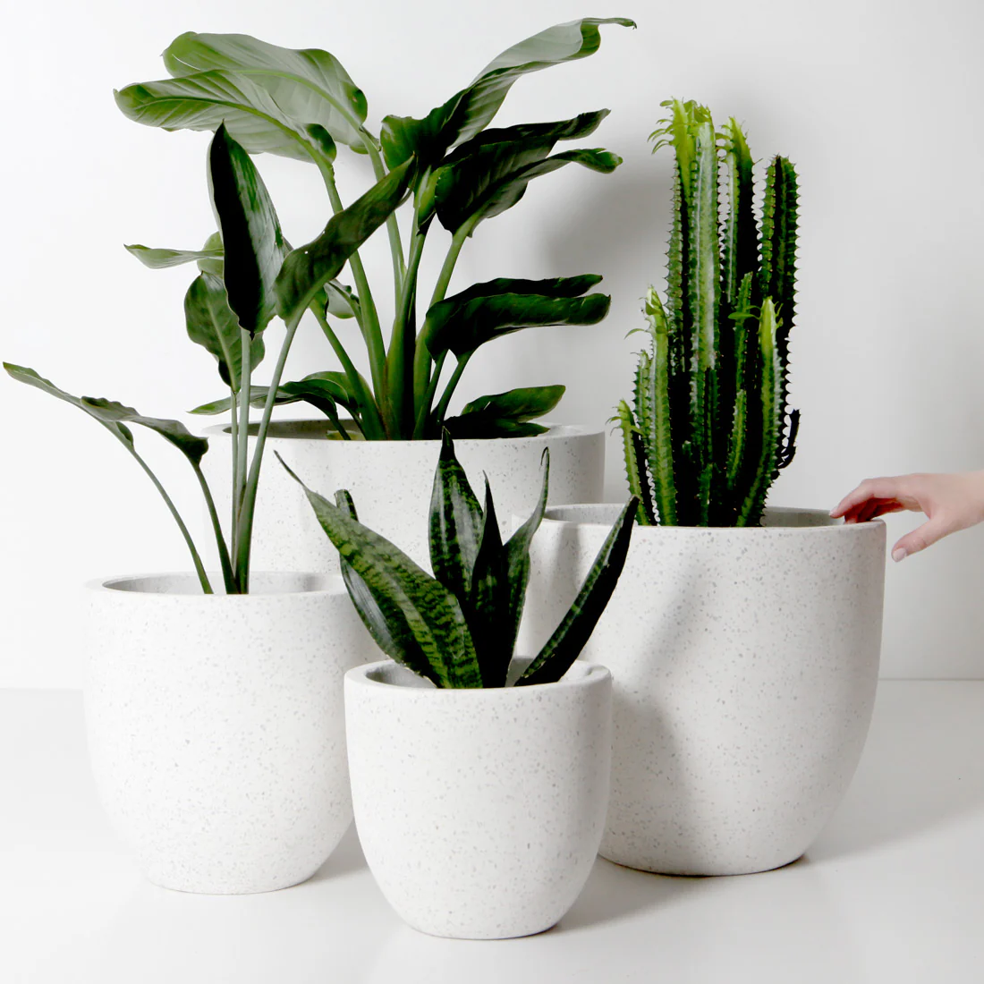 Rio Plant Pot - White Terrazzo - Image 22